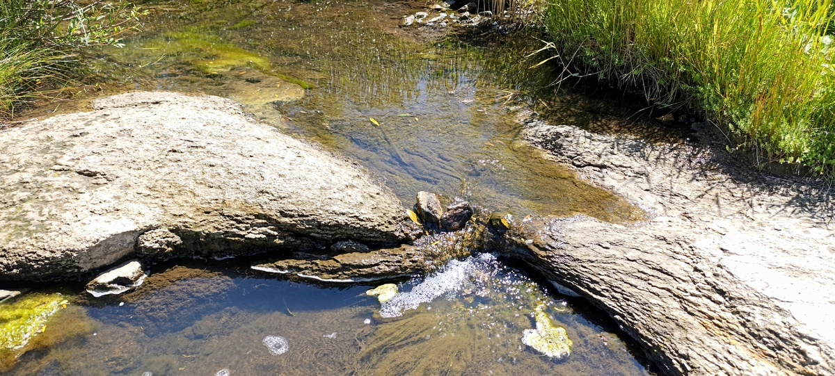 Скальный каньон на р. Кизиха в Алтайском крае – красивое место в степи