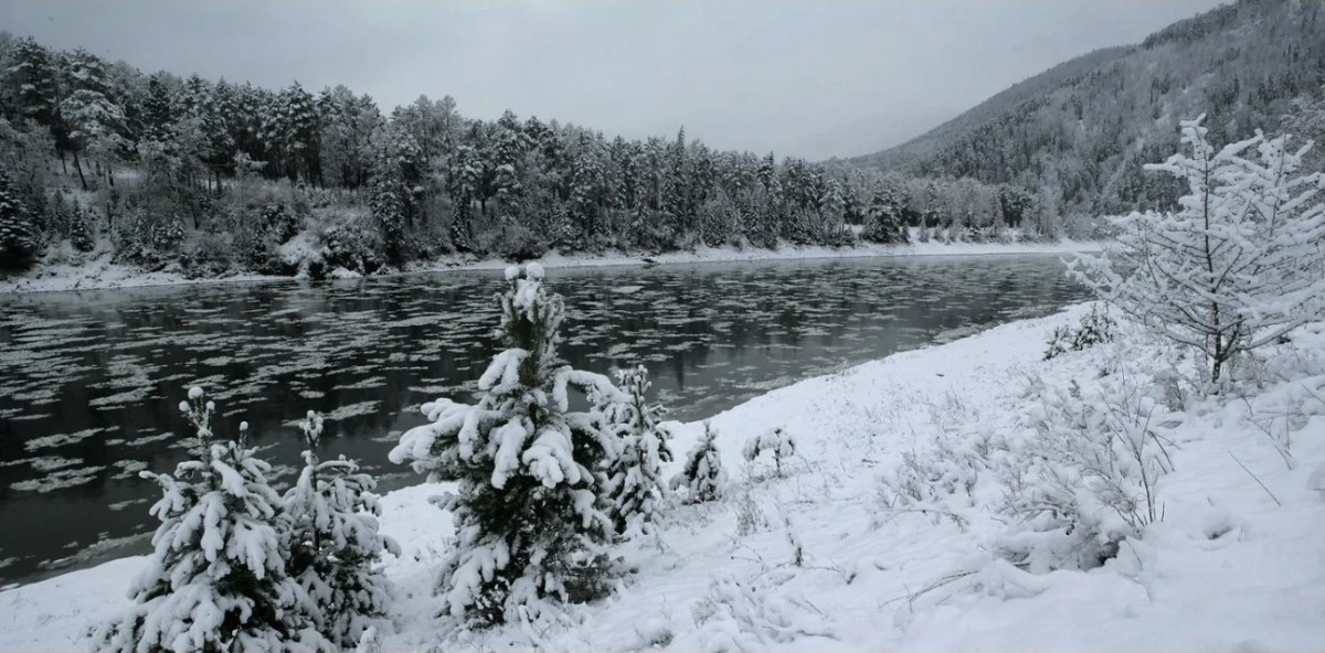 Самая длинная река в России — не Волга. Рейтинг 7 великих рек