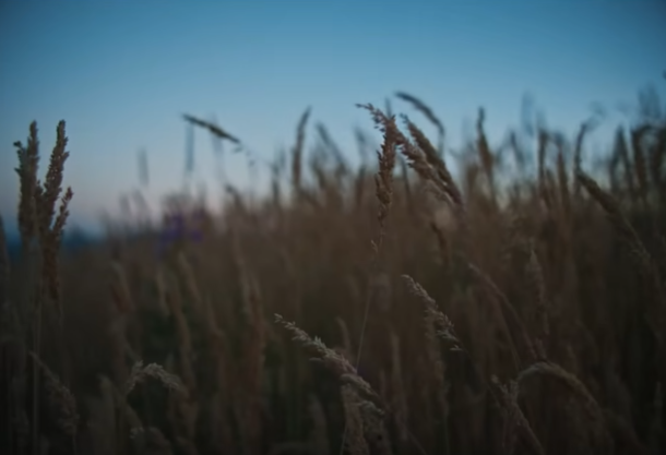 Как оператор Адольфо Велозу сделал драму “Сны поездов” настоящей и приземленной – естественное освещение и цифровая камера