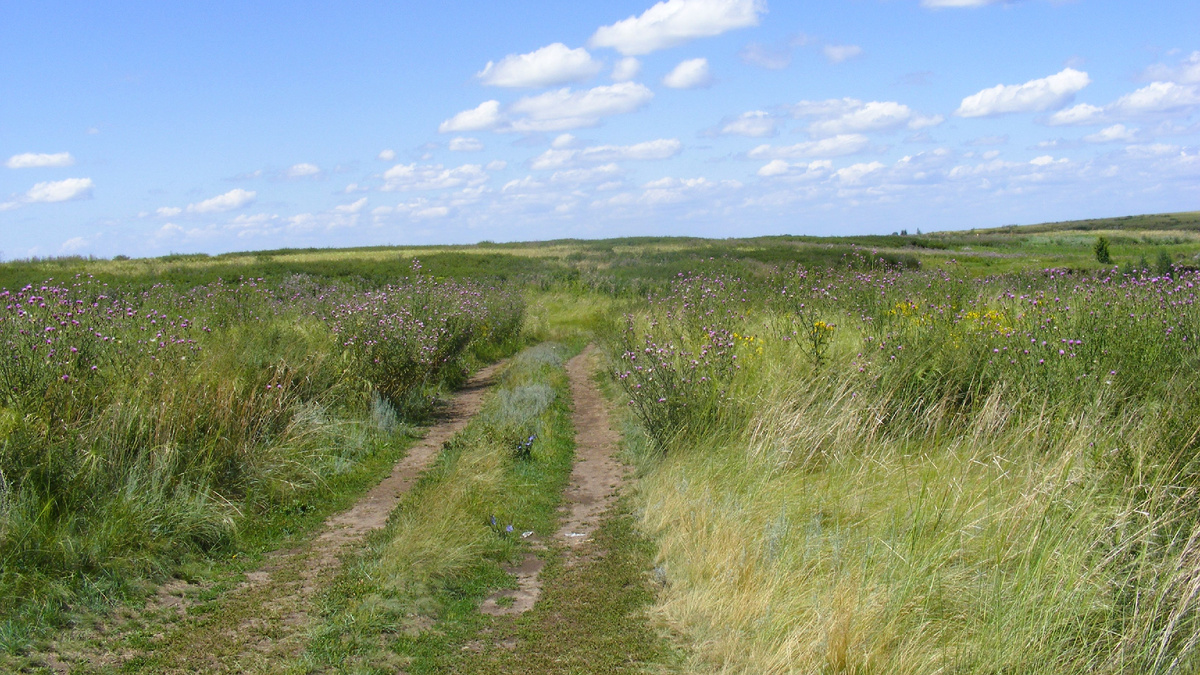 Скальный каньон на р. Кизиха в Алтайском крае – красивое место в степи