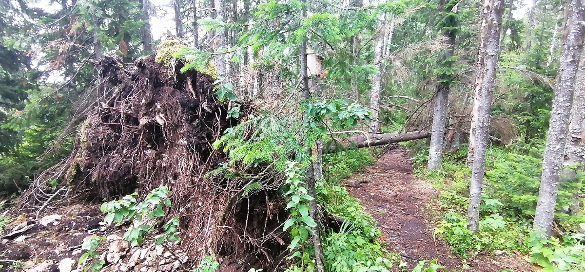 Камень Ветлан - уральский гигант с чудесными видами