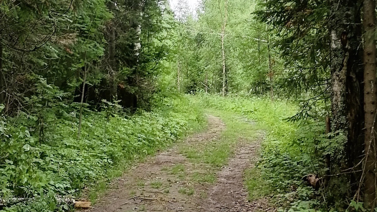 Камень Ветлан - уральский гигант с чудесными видами