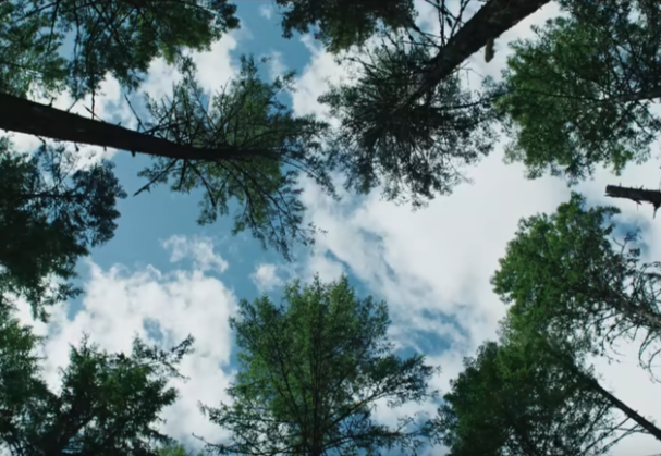 Как оператор Адольфо Велозу сделал драму “Сны поездов” настоящей и приземленной – естественное освещение и цифровая камера